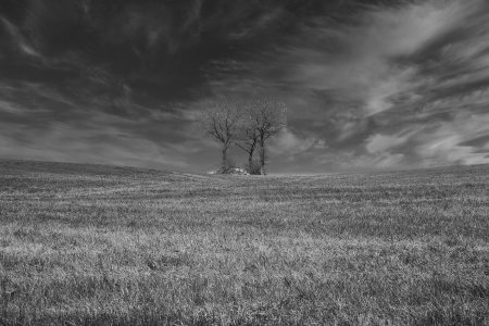 Bruno site internet 4 paysage