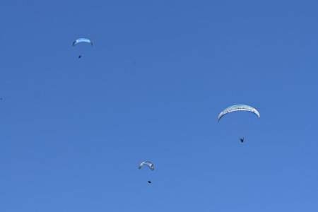 Who can fly the highest