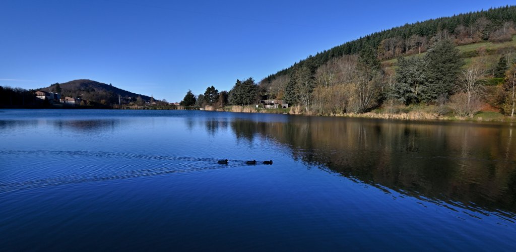 39.Jean-Francois_Cousson.Paysages_Yzeron_05_Retourn%C3%A9e