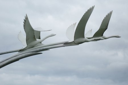 Children of Lir