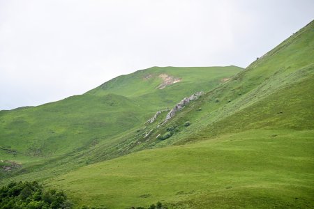 Majestic hills