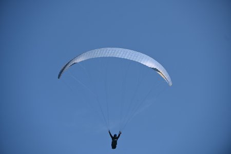 Free as a Bird
